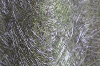 Poulton Le Fylde fibreglass roof work